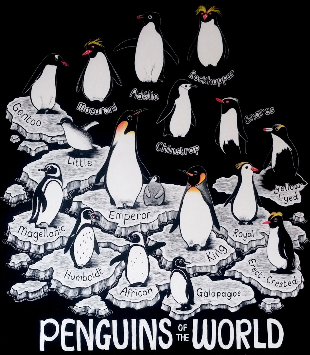 penguins1